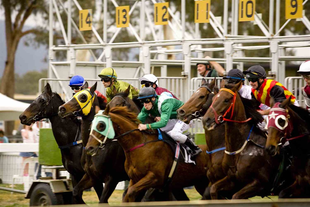 Avoca Autumn Races Pyrenees Shire Council