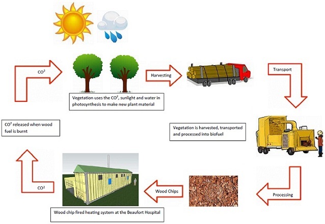 BioCarbonCycle.jpg