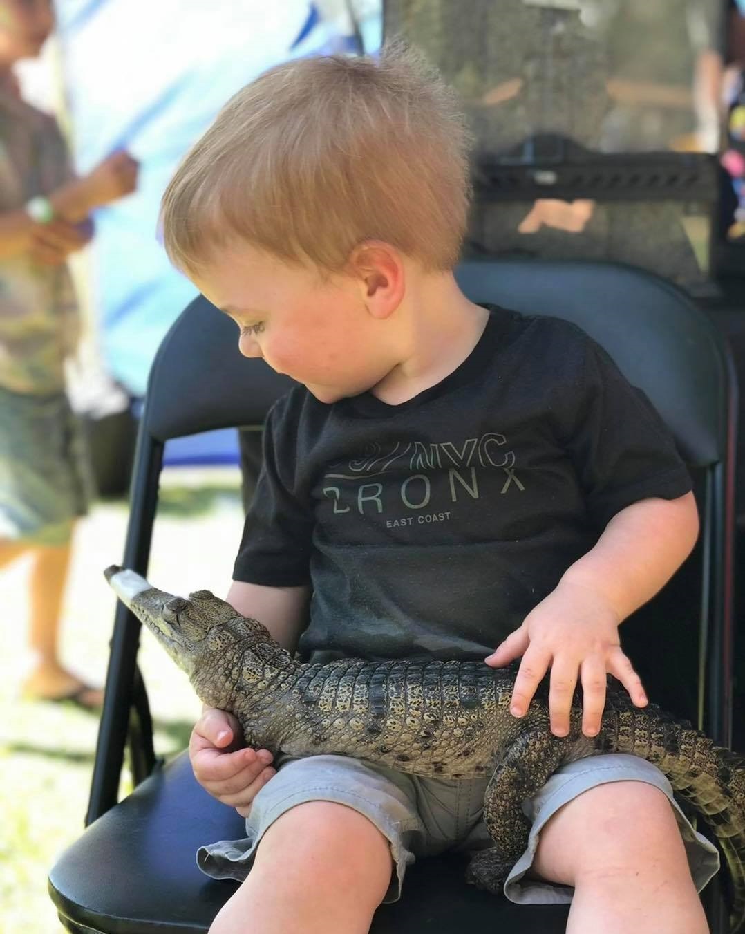 Barkley Hall Crocodile .jpg