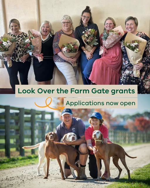 Over the farm gate 728570144_1502655804671421_5010209337300425908_n.jpg