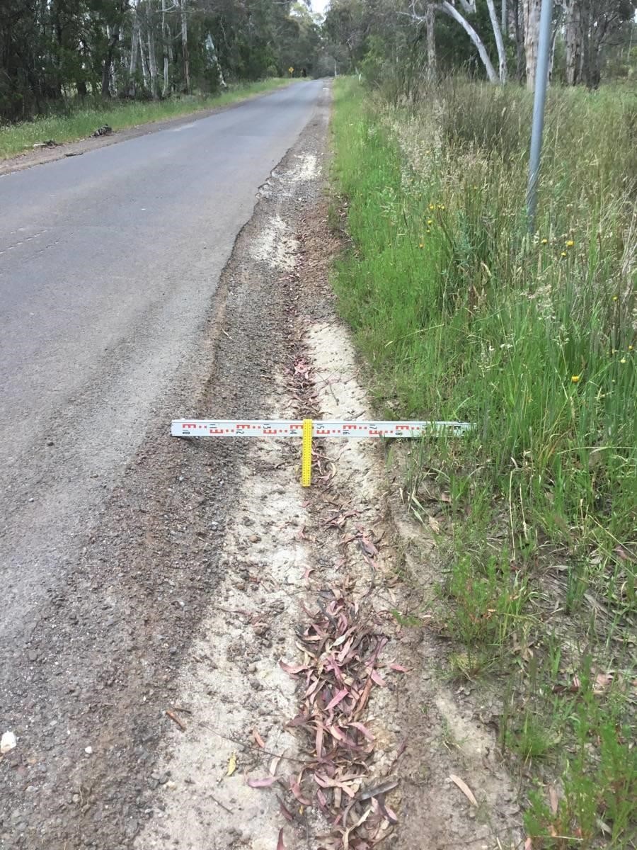 2023.05.26-Old-Shirley-Rd-before.jpeg