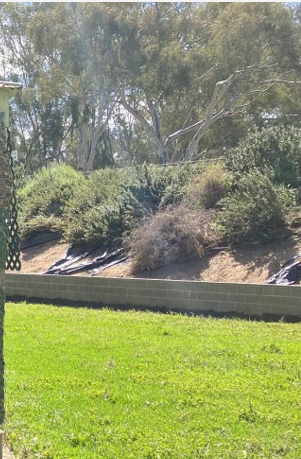 Avoca-Lions-Park-Wall-before.png