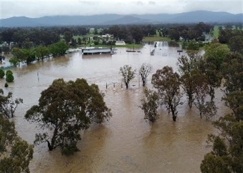 7. Avoca Recreation Reserve