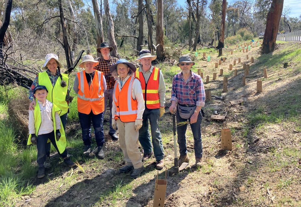 Main-lead-revegetation.jpg