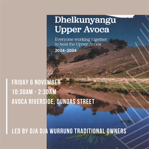 2026-11-06 - Dhelkunyanga.png