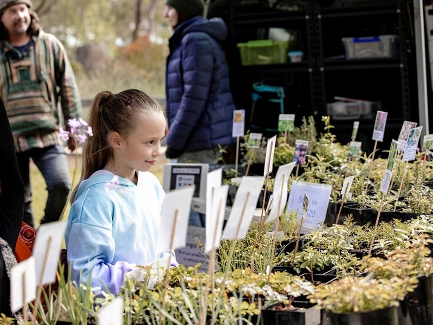 Avoca Market Plants 465561783_989097239919670_2868882148947322268_n.jpg