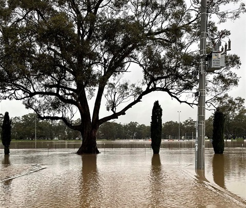 Flood image 311178203_471918374972688_4082825382757710900_n.jpg