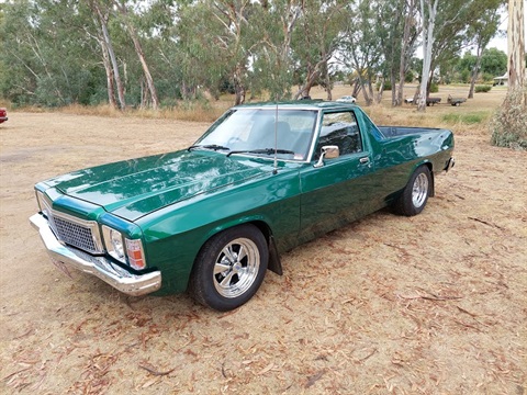 PHVC_Newbridge Run_Green Ute.jpg
