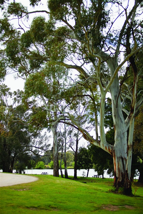 Beaufort_115 R (1).jpg