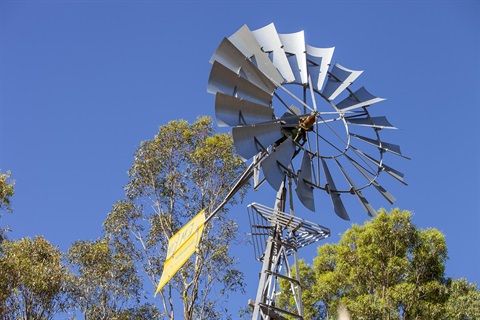 Wimmera_River_Crowlands_6408_Low_Res.jpg