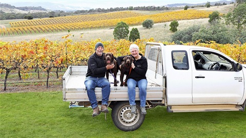 Two people sitting with their two dogs on the back of a ute in a field in the countryside.