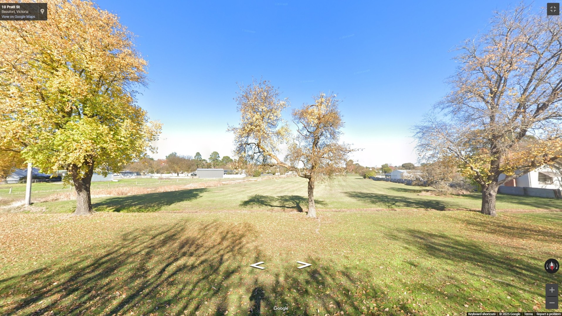 10-Pratt-Street-Beaufort-Dog-Park.jpg