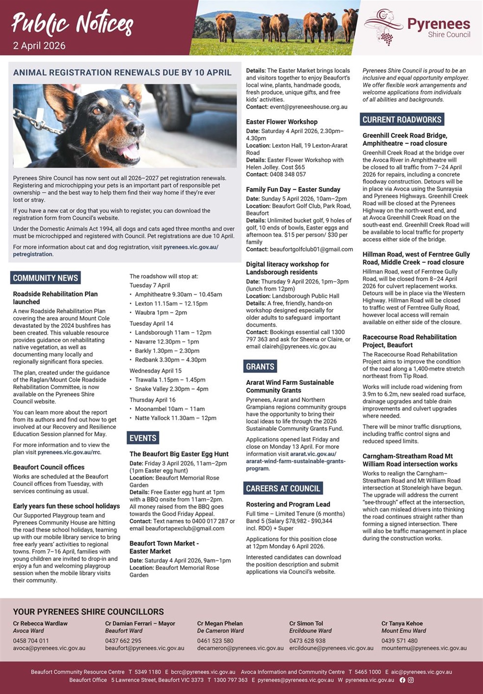 Newspaper-style page displaying public notices and community announcements with an accompanying image of a black and brown Kelpie dog on a lead in the street.