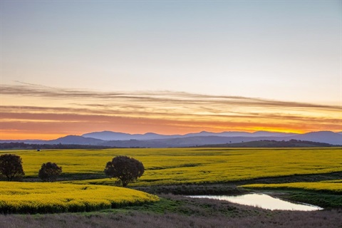 Pyrenees_Shire_Rural_Scene_0002.jpg