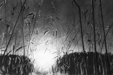 Searchlight 2021.JPG