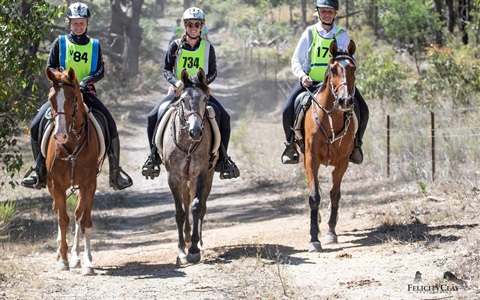 VERA 428612221_10224168839945283_5324125940837264201_n.jpg