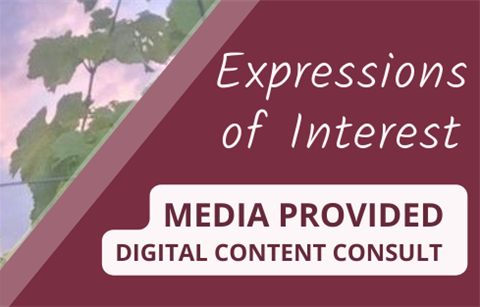 Media Provided Consult crop.png